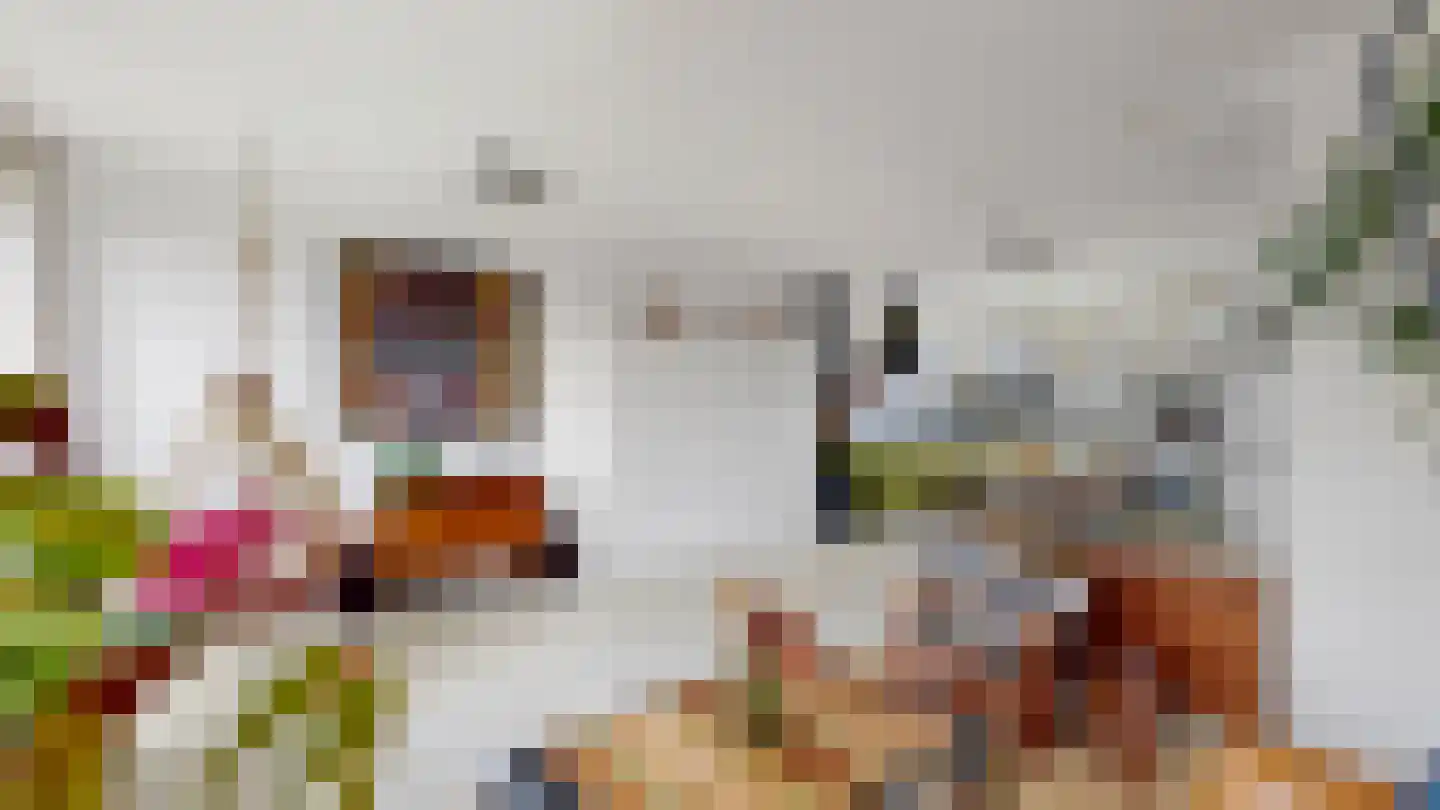 Frambozenstraat 23 Amsterdam thumbnail 9