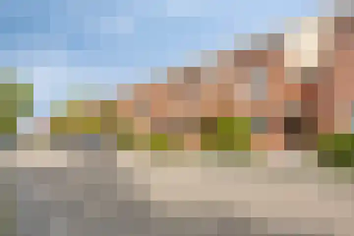 Frambozenstraat 31 Almere thumbnail 31