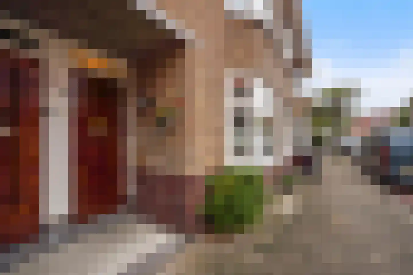 Frambozenstraat 36 Den Haag thumbnail 37