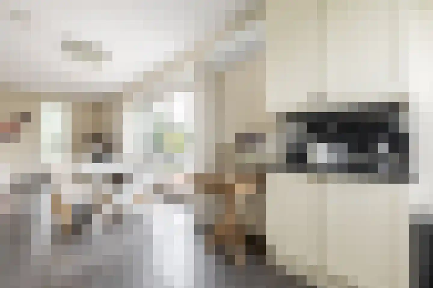 Frambozenstraat 39 Amsterdam thumbnail 21