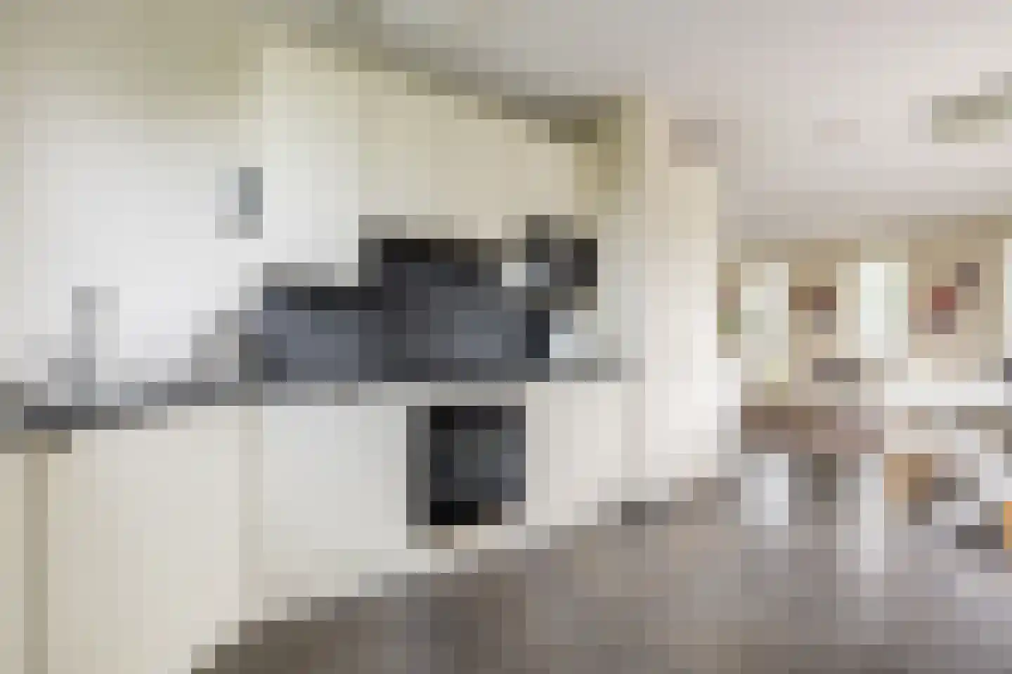 Frambozenstraat 39 Amsterdam thumbnail 22