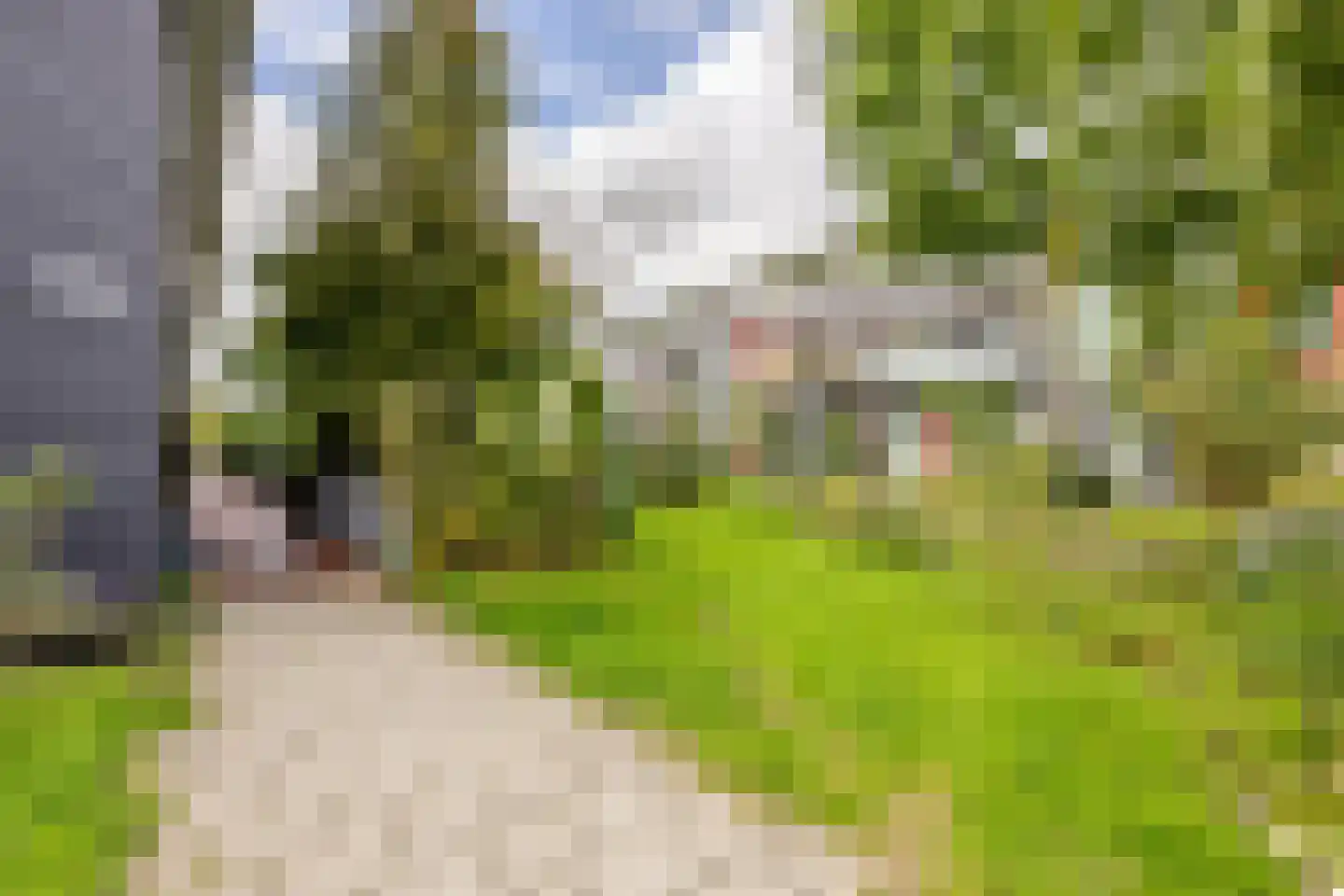 Frambozenstraat 39 Amsterdam thumbnail 41