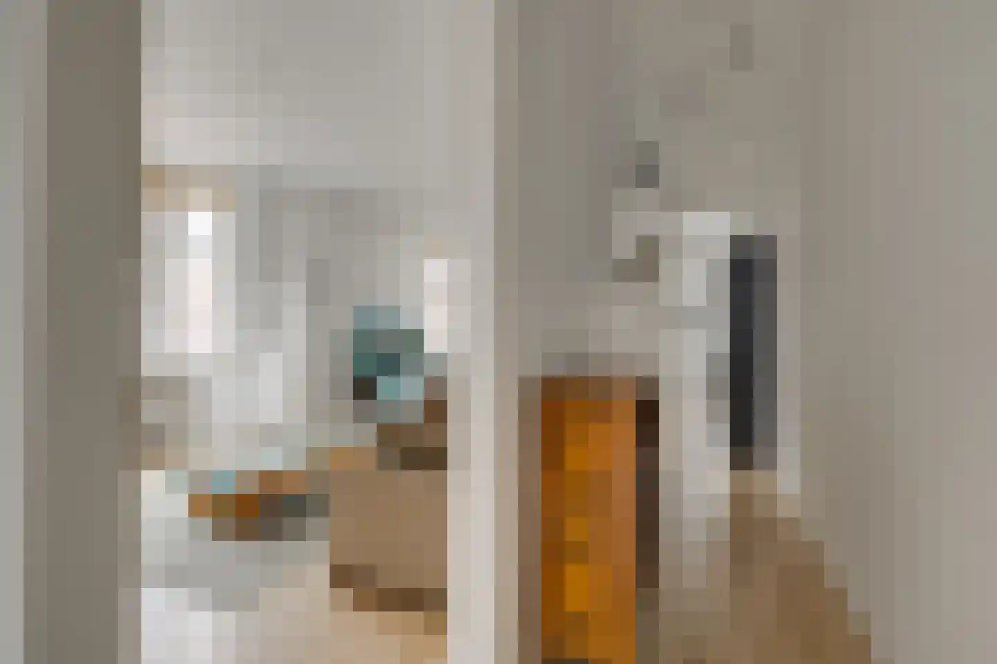 Frambozenstraat 78 Den Haag thumbnail 7