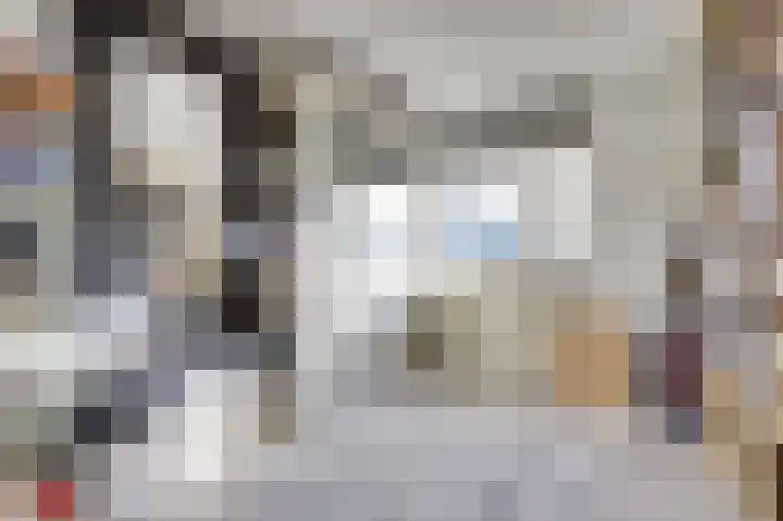 Frambozentuin 3 Rotterdam thumbnail 13
