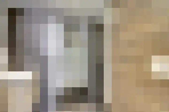 Frambozentuin 3 Rotterdam thumbnail 17