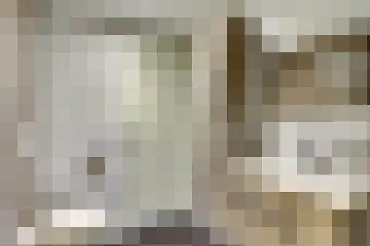 Frambozentuin 3 Rotterdam thumbnail 18