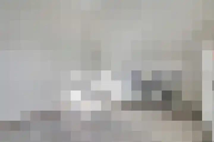 Frambozentuin 3 Rotterdam thumbnail 25