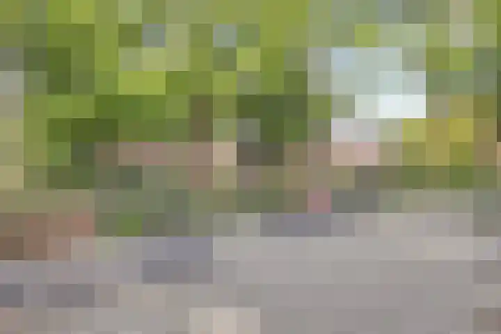 Frambozentuin 3 Rotterdam thumbnail 31