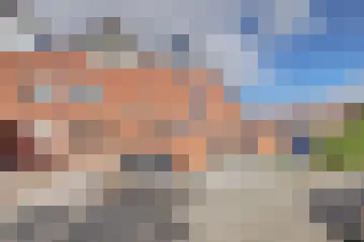 Frambozentuin 3 Rotterdam thumbnail 33