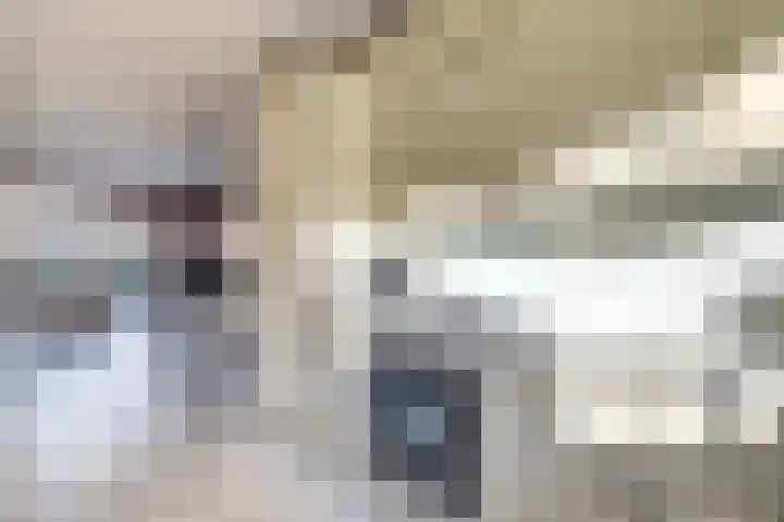 Frambozentuin 3 Rotterdam thumbnail 7