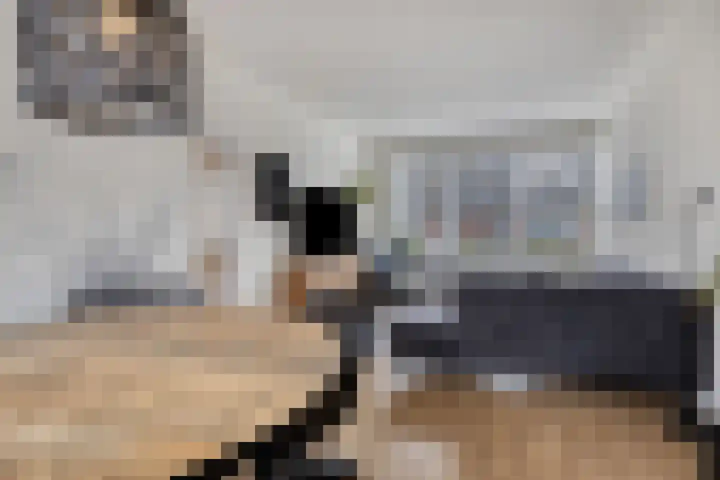 Frambozestraat 10 Goes thumbnail 11