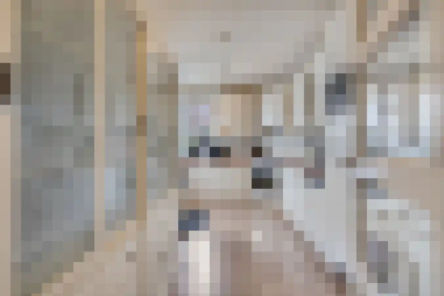 Frambozestraat 10 Goes thumbnail 20