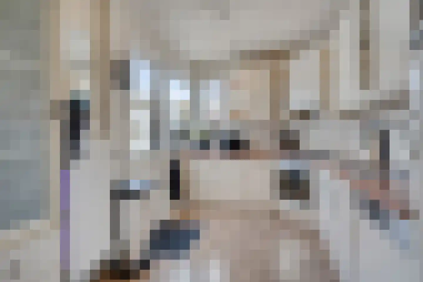 Frambozestraat 10 Goes thumbnail 21