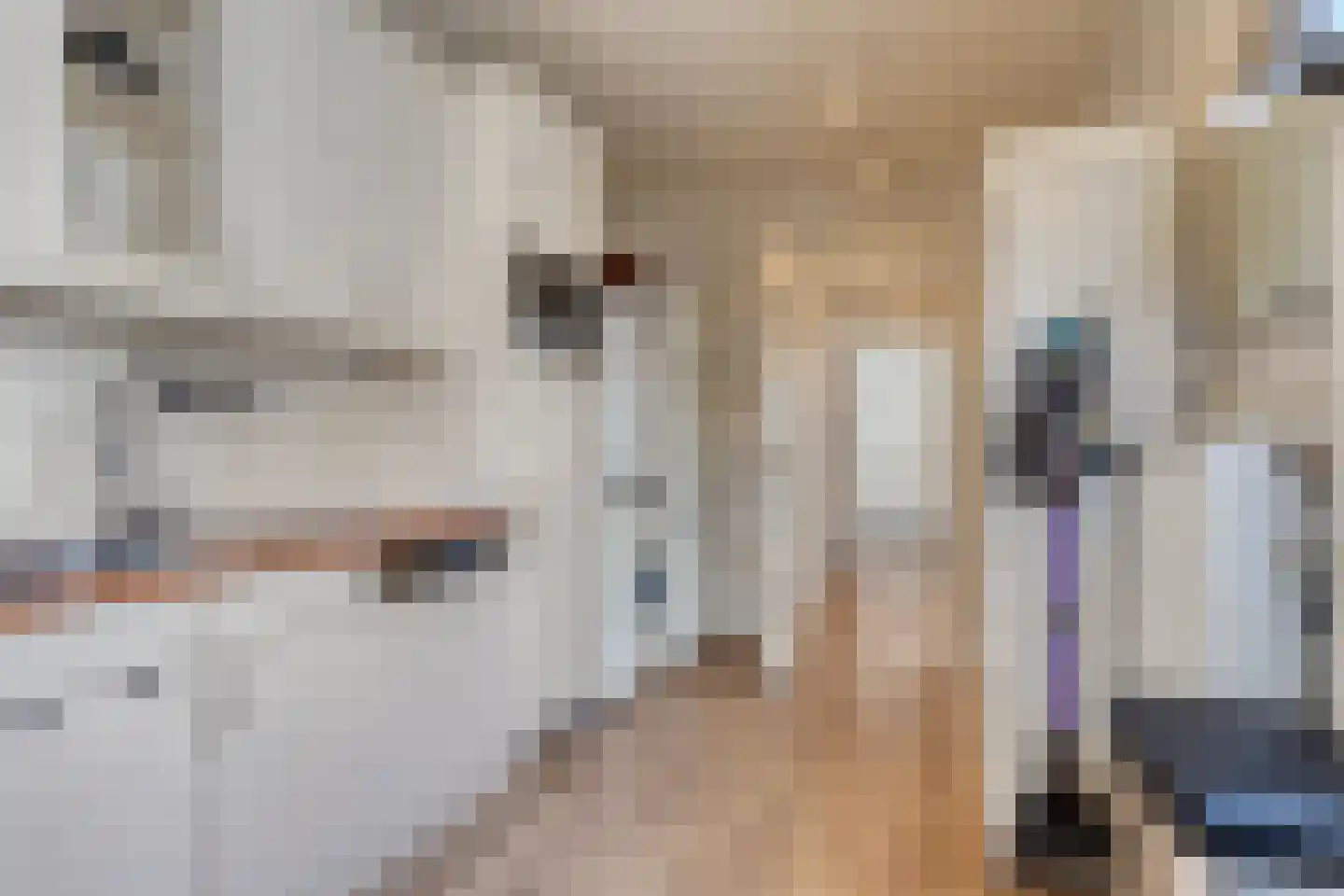Frambozestraat 10 Goes thumbnail 22