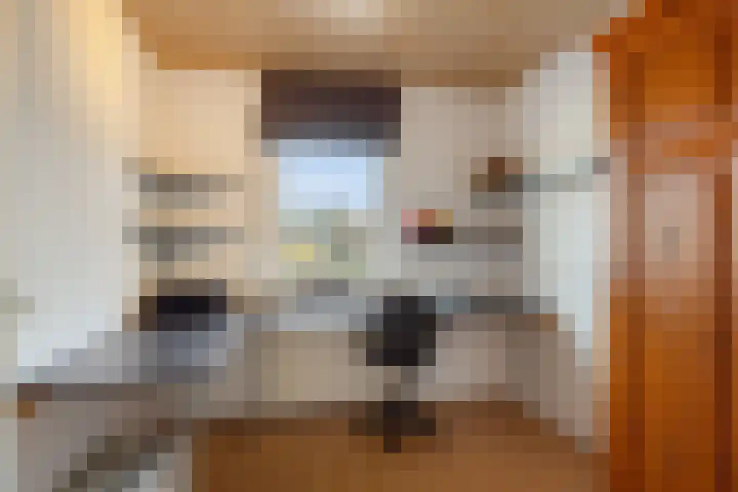Frambozestraat 10 Goes thumbnail 31
