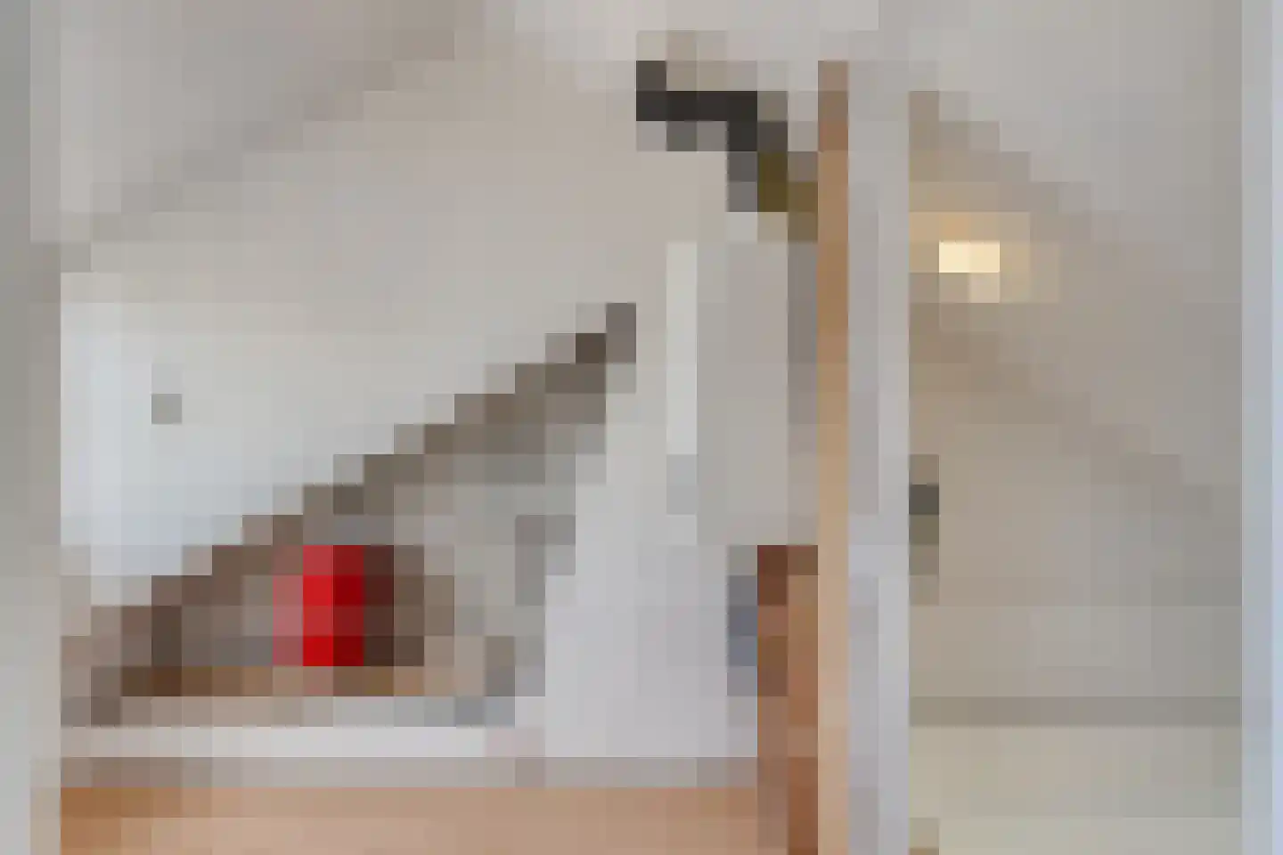 Frambozestraat 10 Goes thumbnail 33