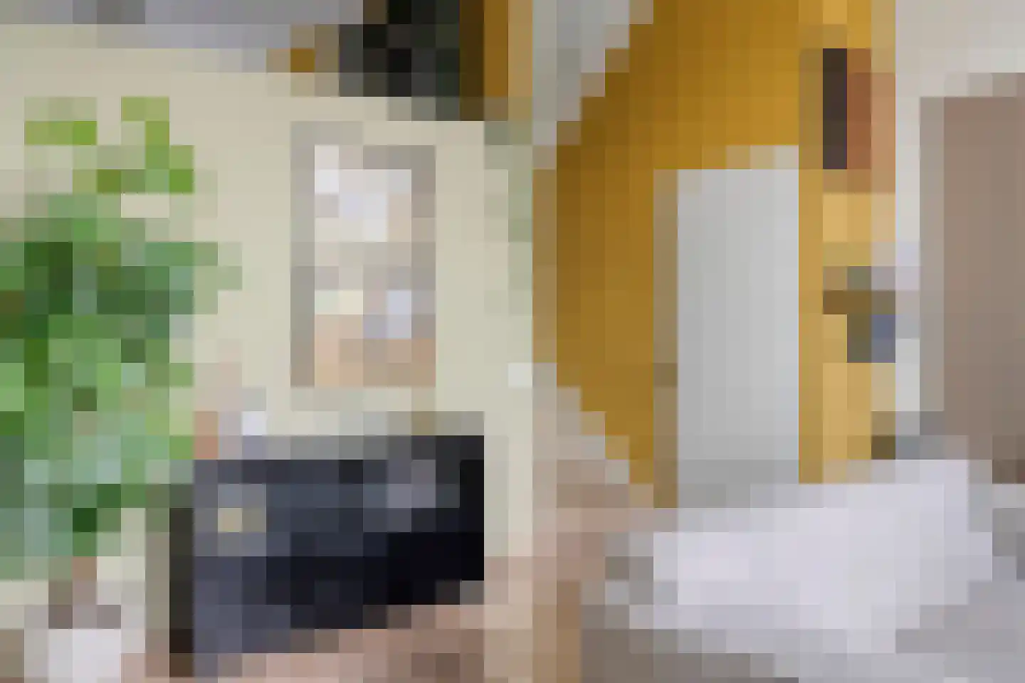 Frambozestraat 31 Goes thumbnail 10