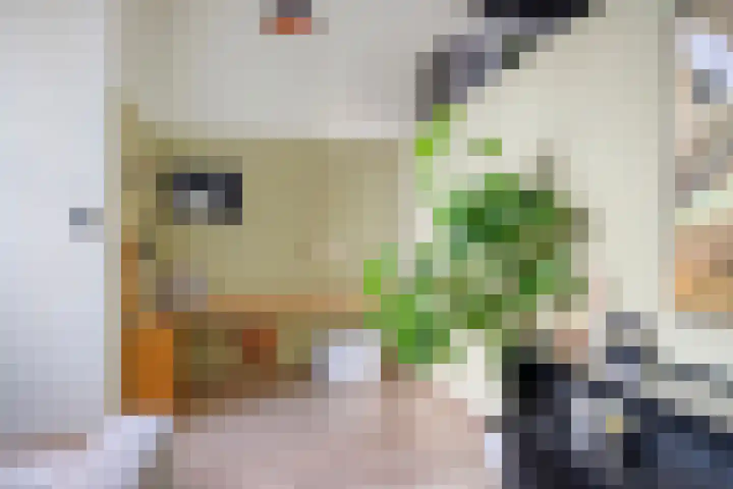 Frambozestraat 31 Goes thumbnail 11