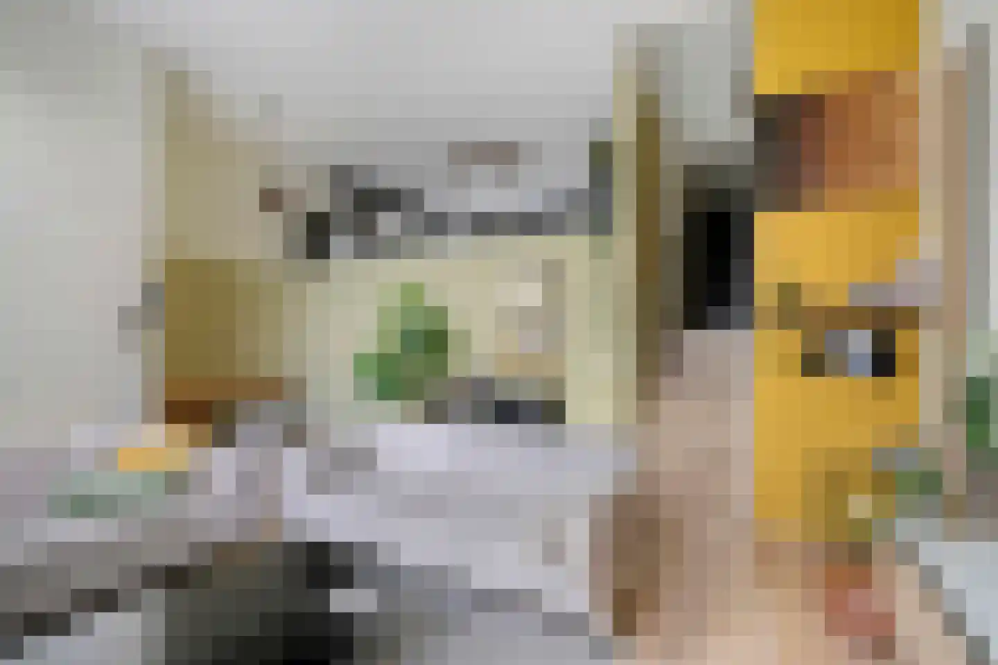 Frambozestraat 31 Goes thumbnail 13