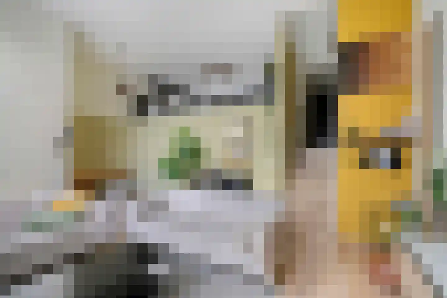 Frambozestraat 31 Goes thumbnail 13