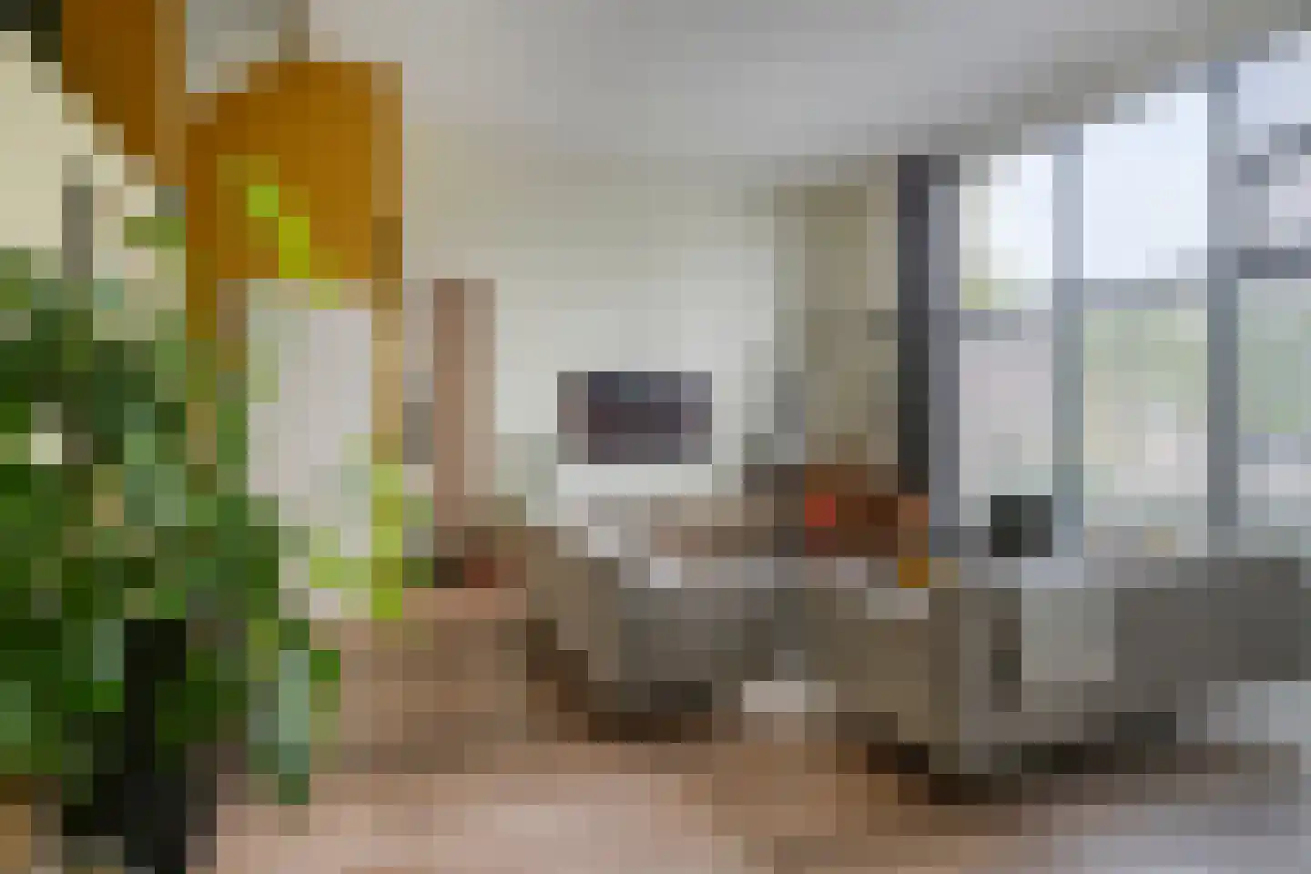 Frambozestraat 31 Goes thumbnail 14