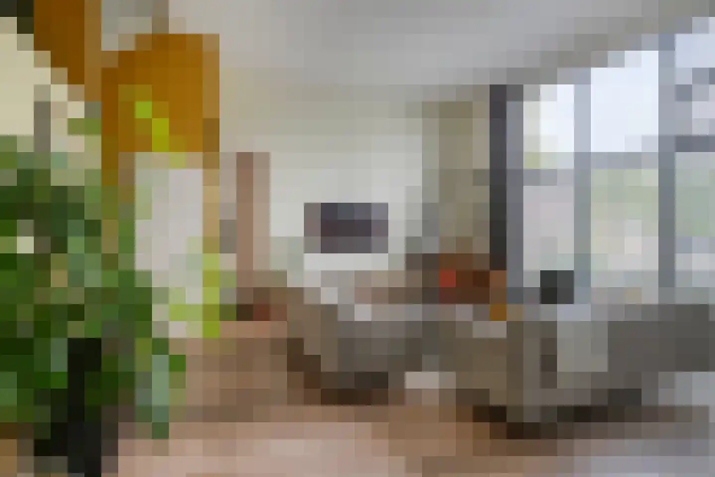Frambozestraat 31 Goes thumbnail 14