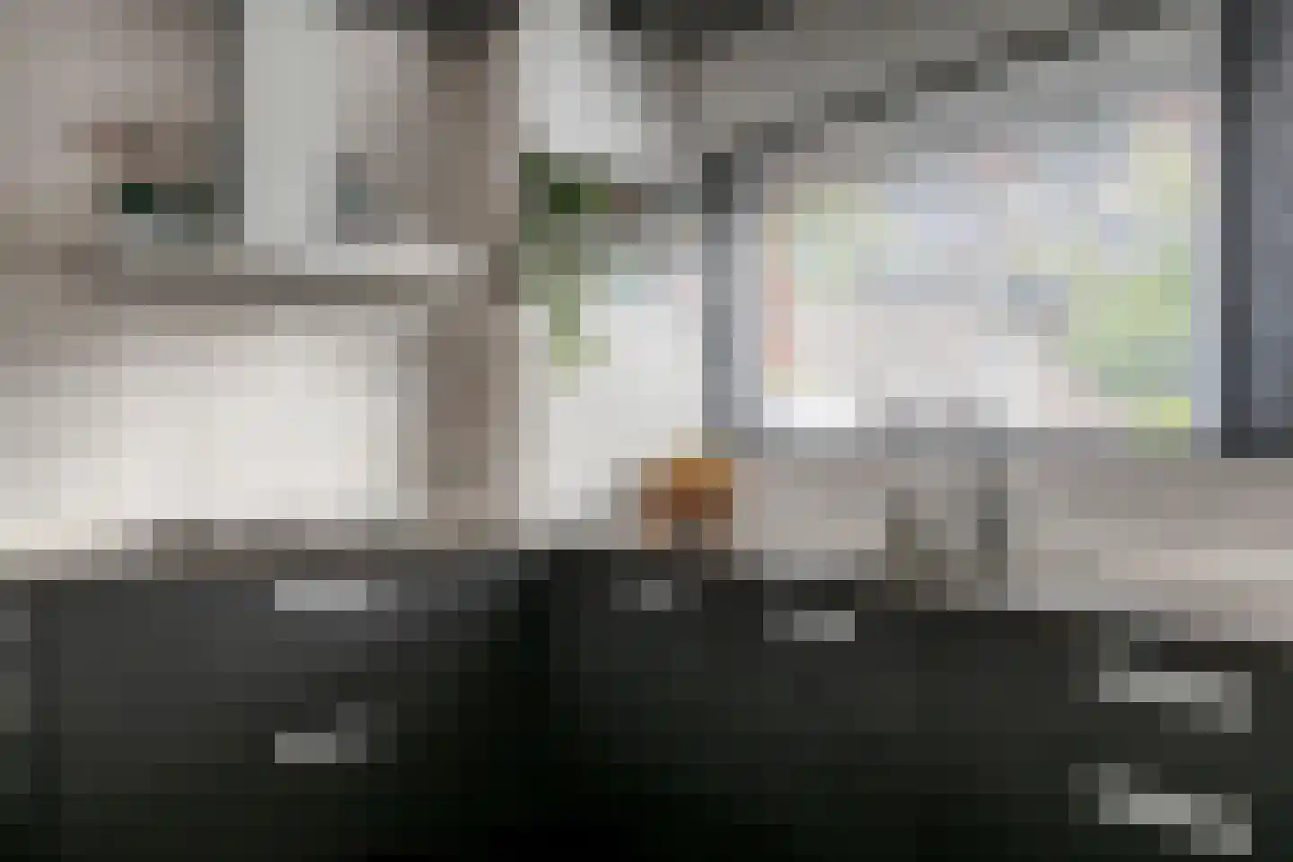 Frambozestraat 31 Goes thumbnail 19