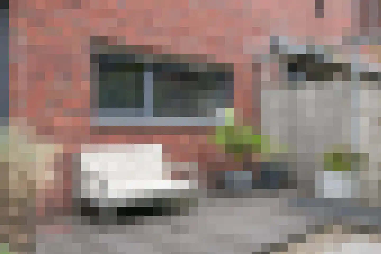 Frambozestraat 31 Goes thumbnail 23