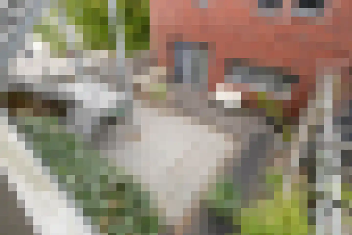 Frambozestraat 31 Goes thumbnail 24