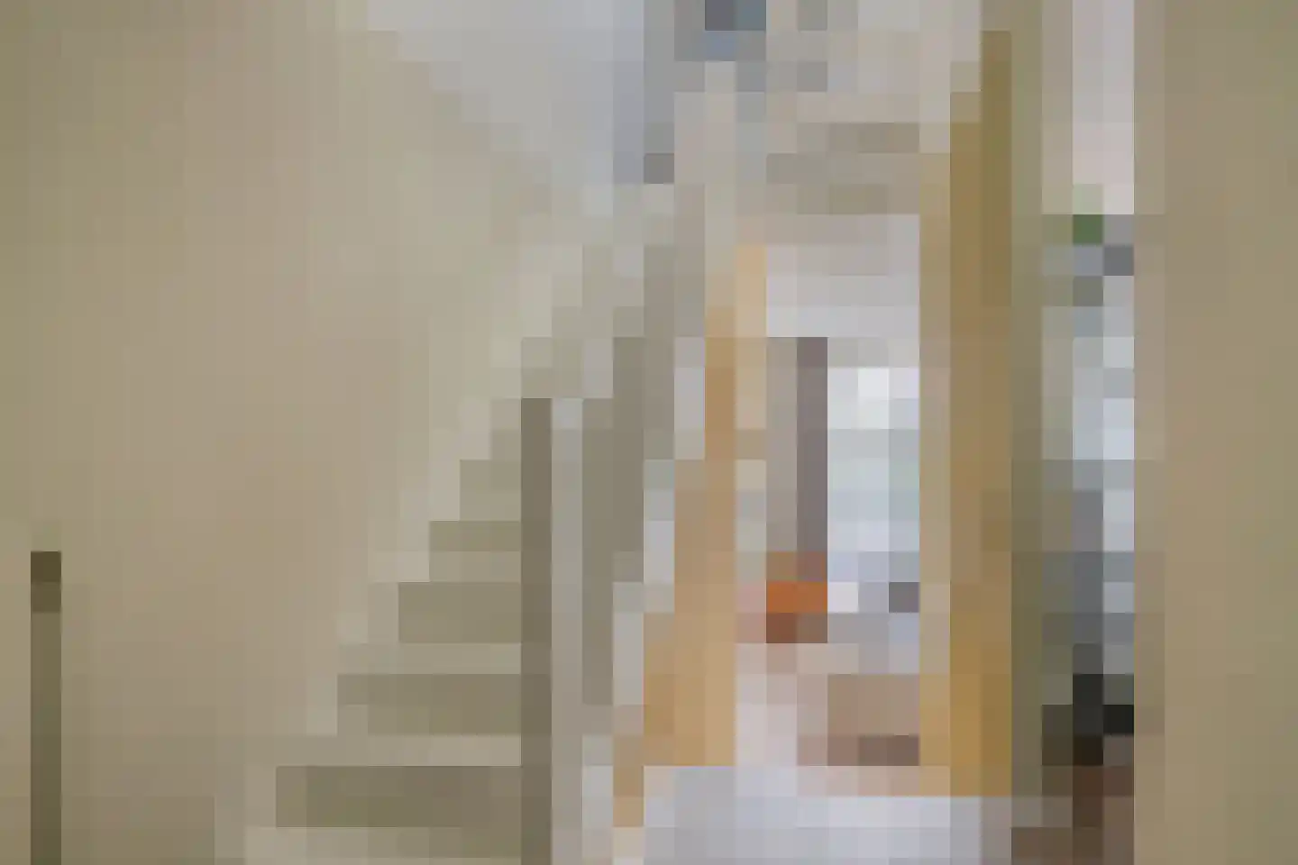 Frambozestraat 31 Goes thumbnail 26