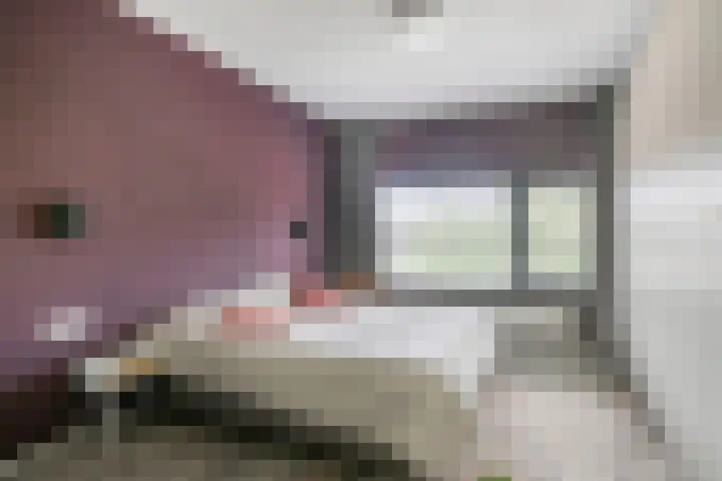 Frambozestraat 31 Goes thumbnail 28