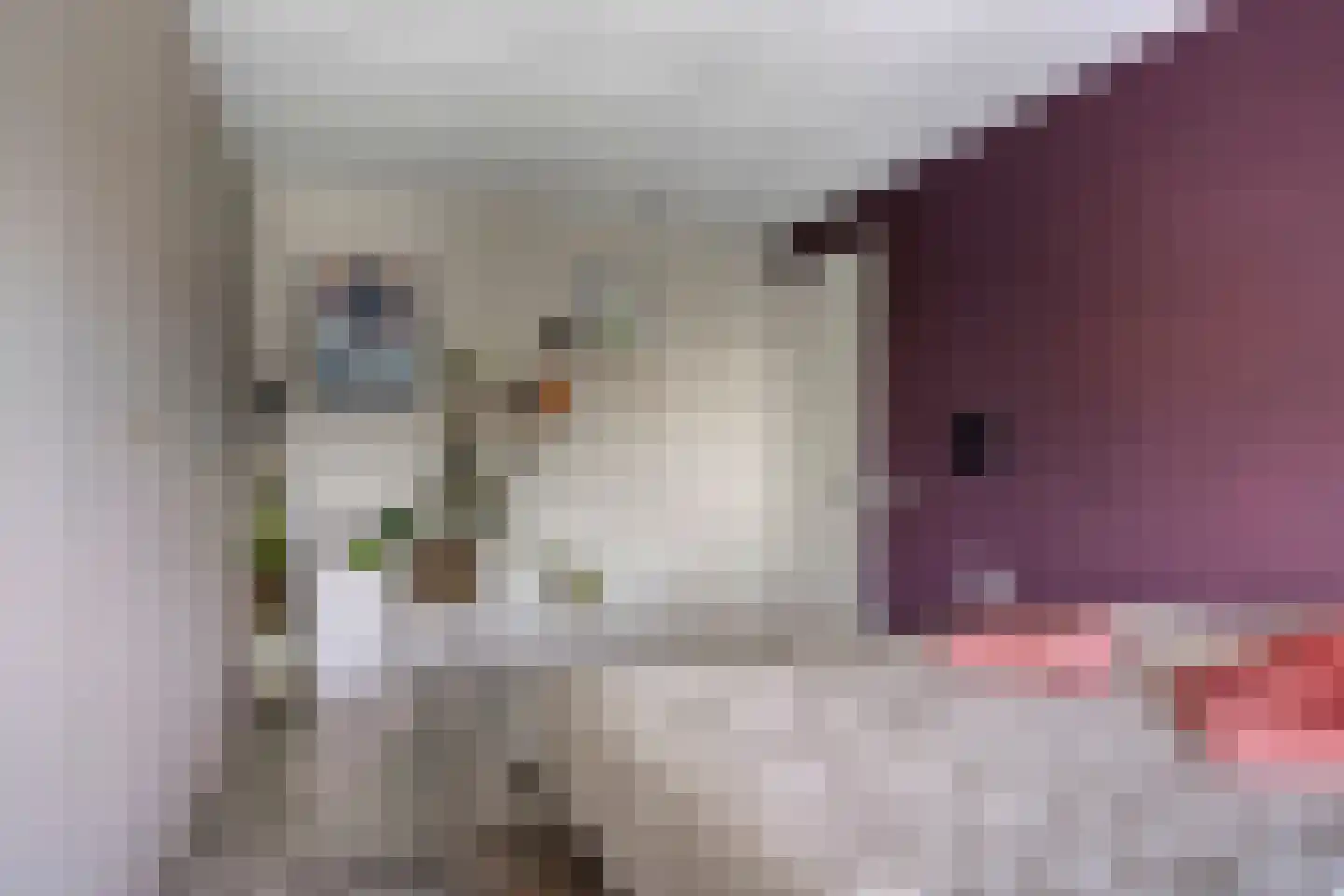 Frambozestraat 31 Goes thumbnail 29