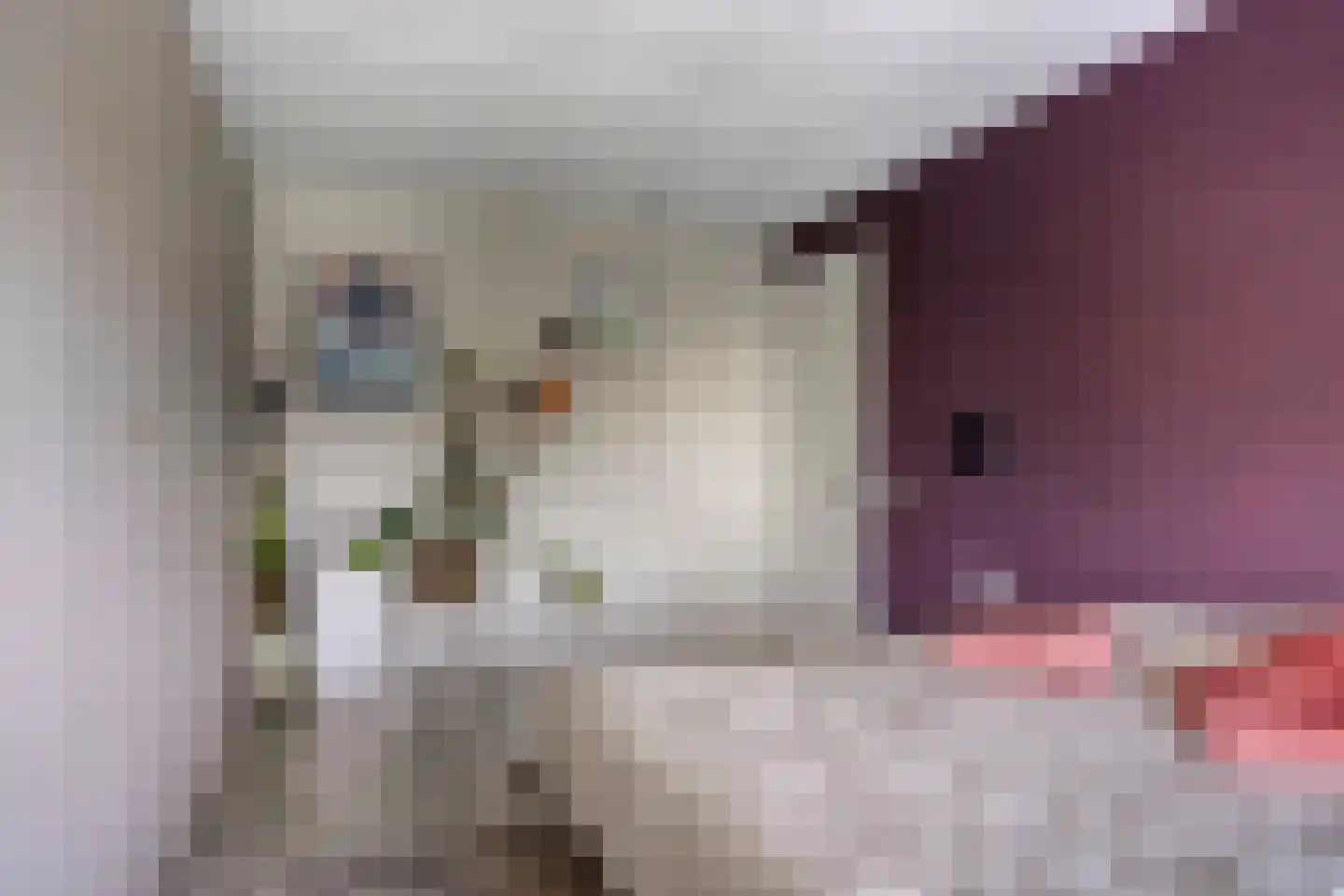 Frambozestraat 31 Goes thumbnail 29