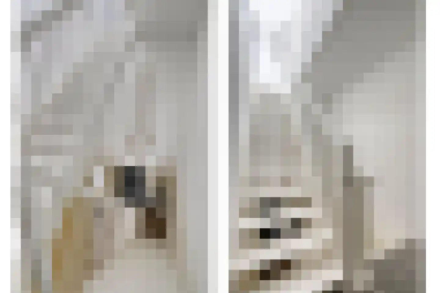 Frambozestraat 31 Goes thumbnail 38
