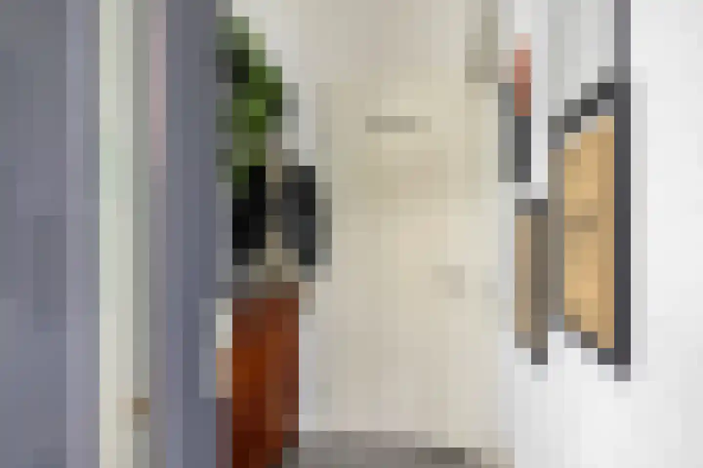 Frambozestraat 31 Goes thumbnail 6