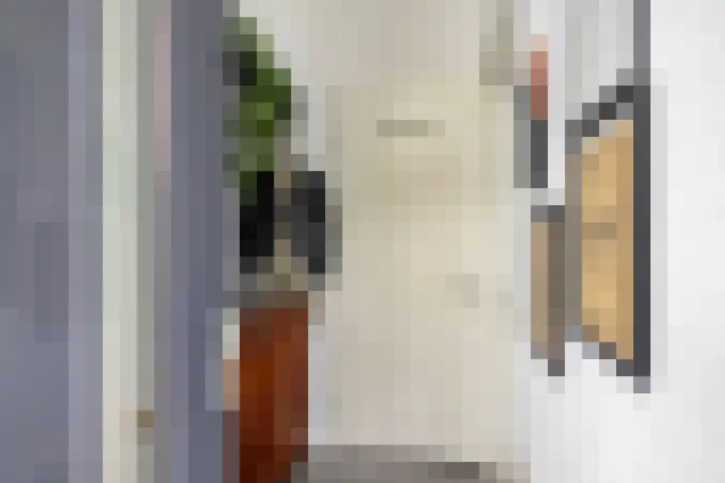 Frambozestraat 31 Goes thumbnail 6