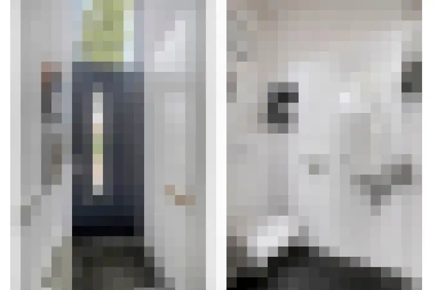 Frambozestraat 31 Goes thumbnail 7