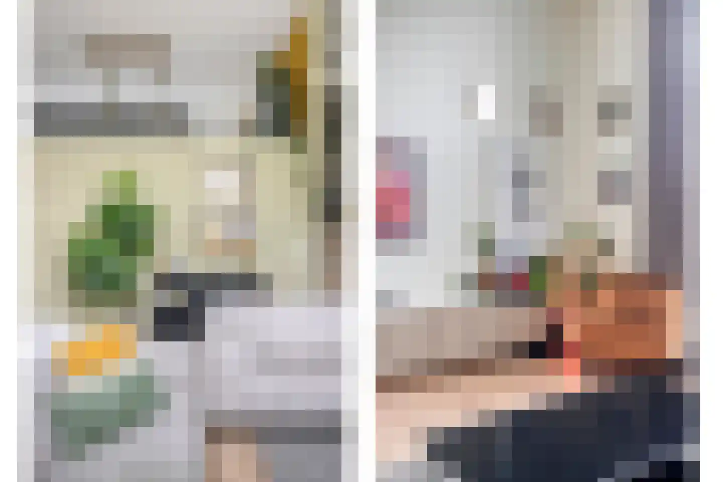 Frambozestraat 31 Goes thumbnail 9