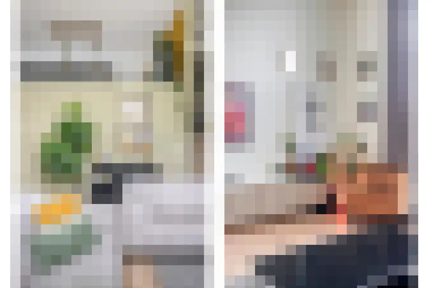 Frambozestraat 31 Goes thumbnail 9