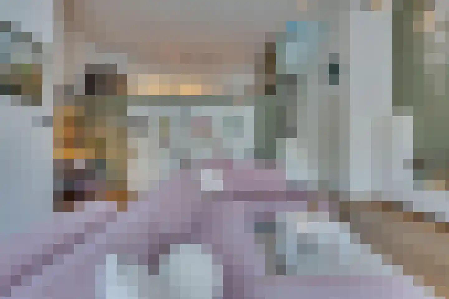 Frambozestraat 35 Goes thumbnail 11