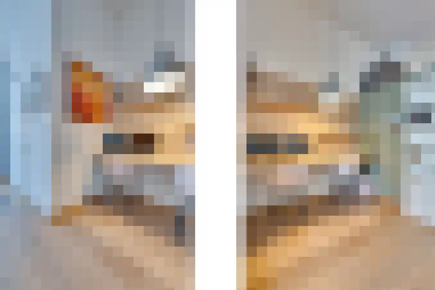 Frambozestraat 35 Goes thumbnail 12