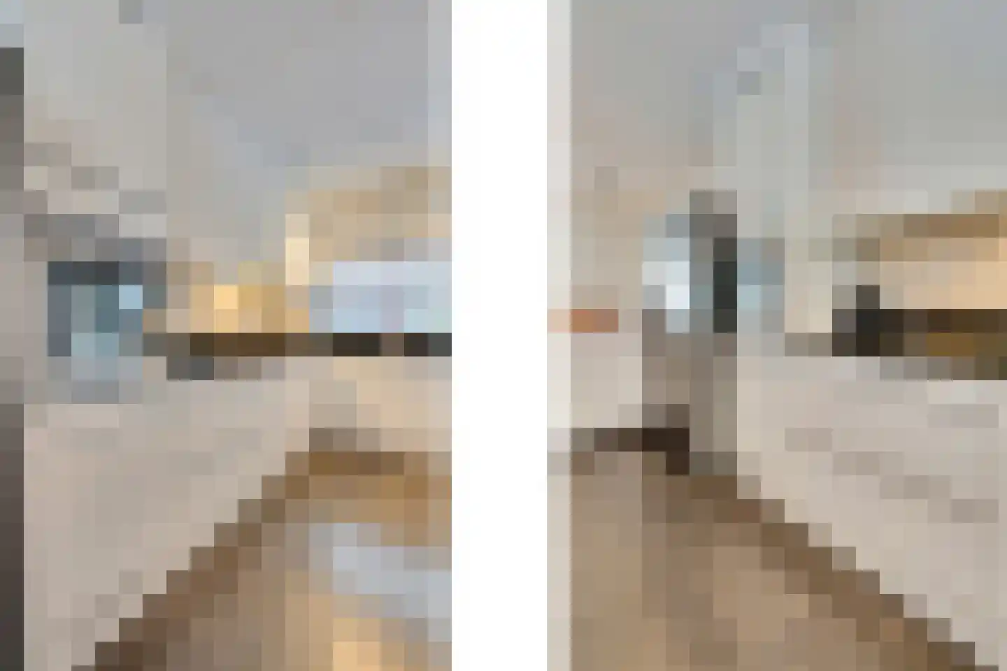 Frambozestraat 35 Goes thumbnail 13