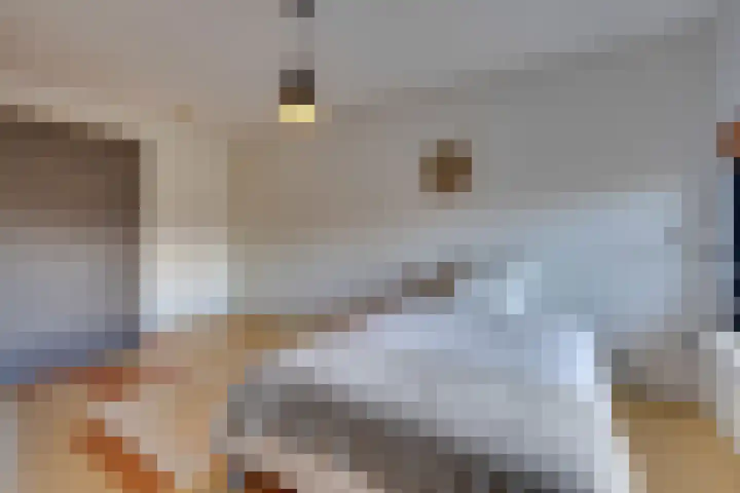 Frambozestraat 35 Goes thumbnail 16