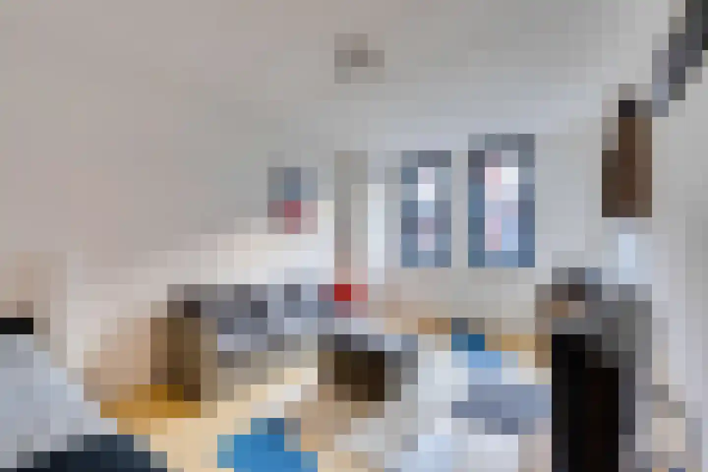 Frambozestraat 35 Goes thumbnail 19