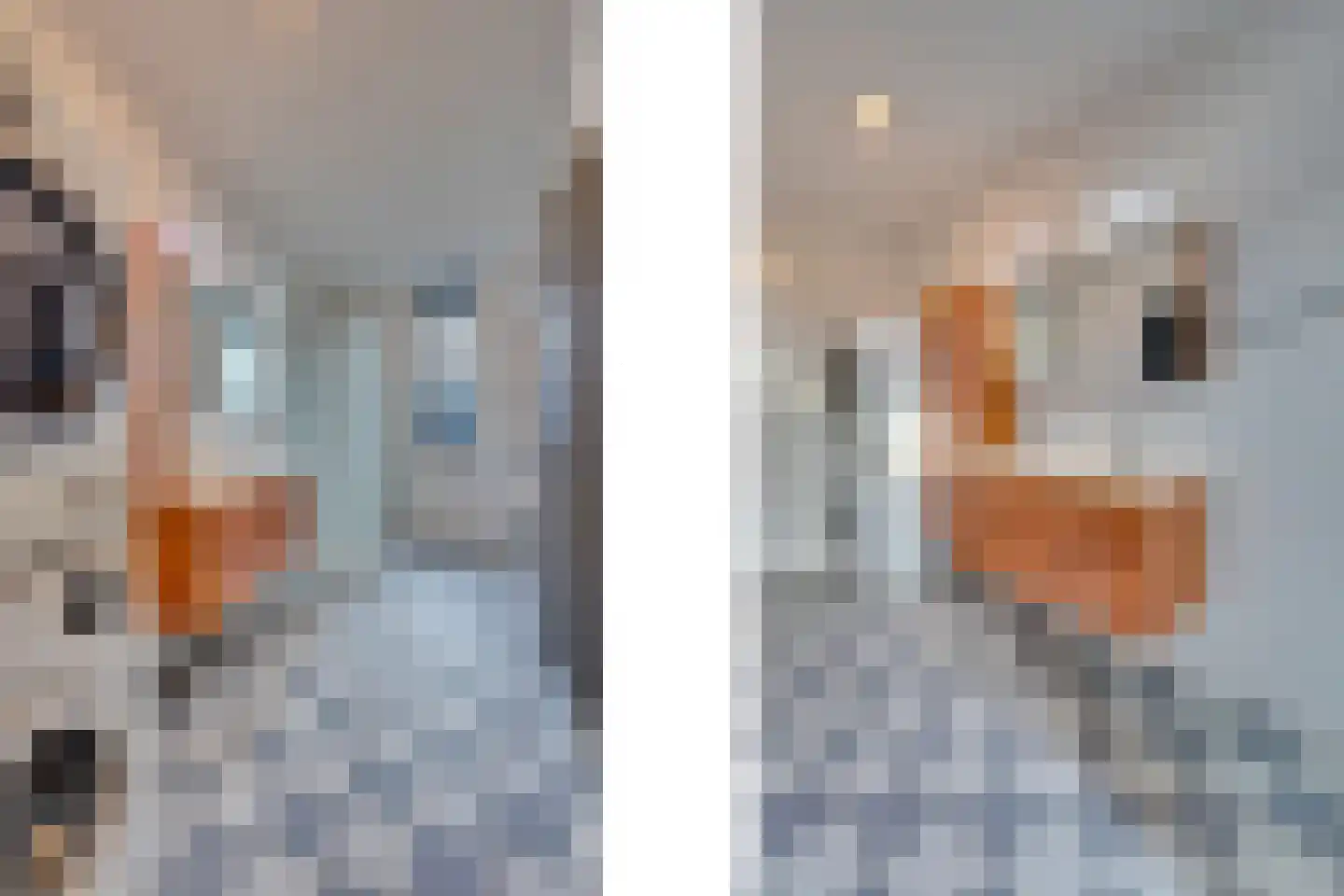 Frambozestraat 35 Goes thumbnail 23