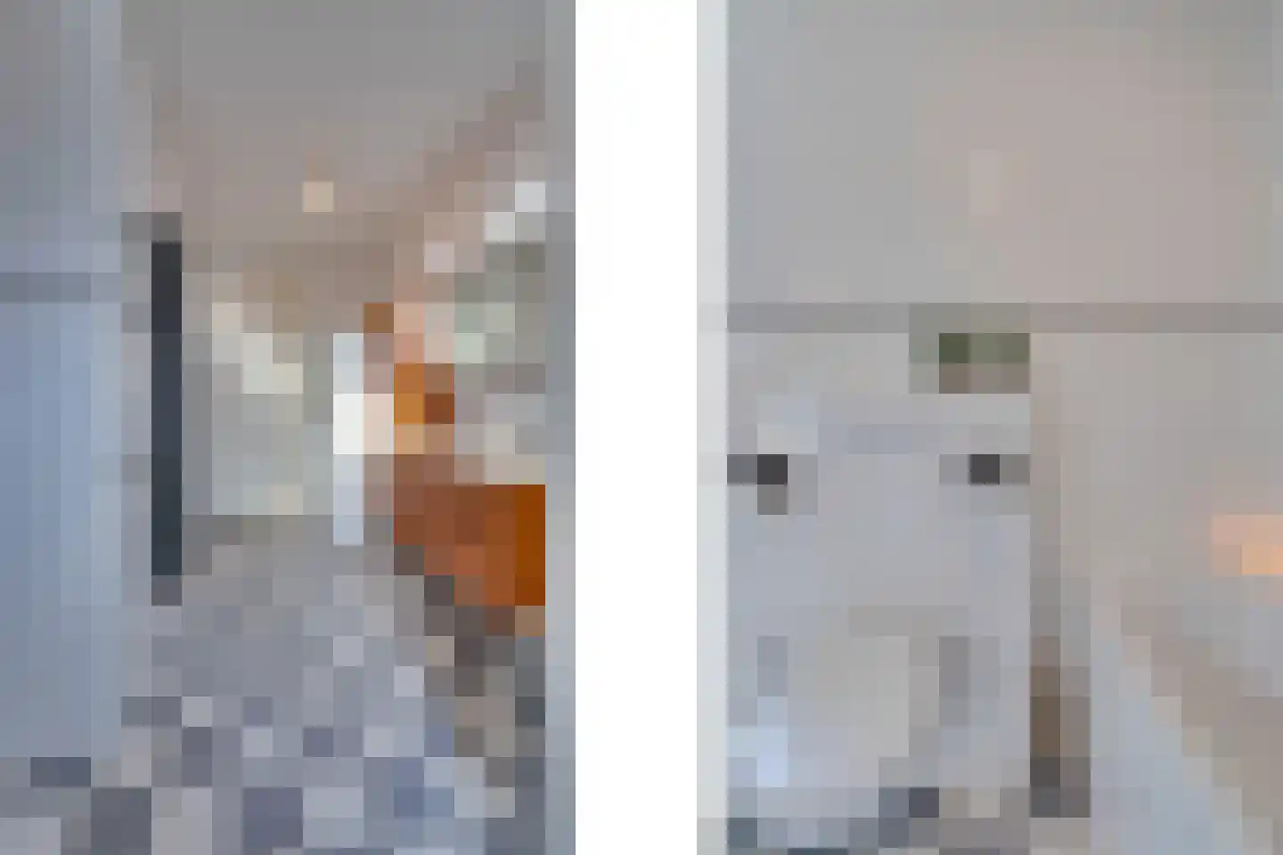 Frambozestraat 35 Goes thumbnail 25
