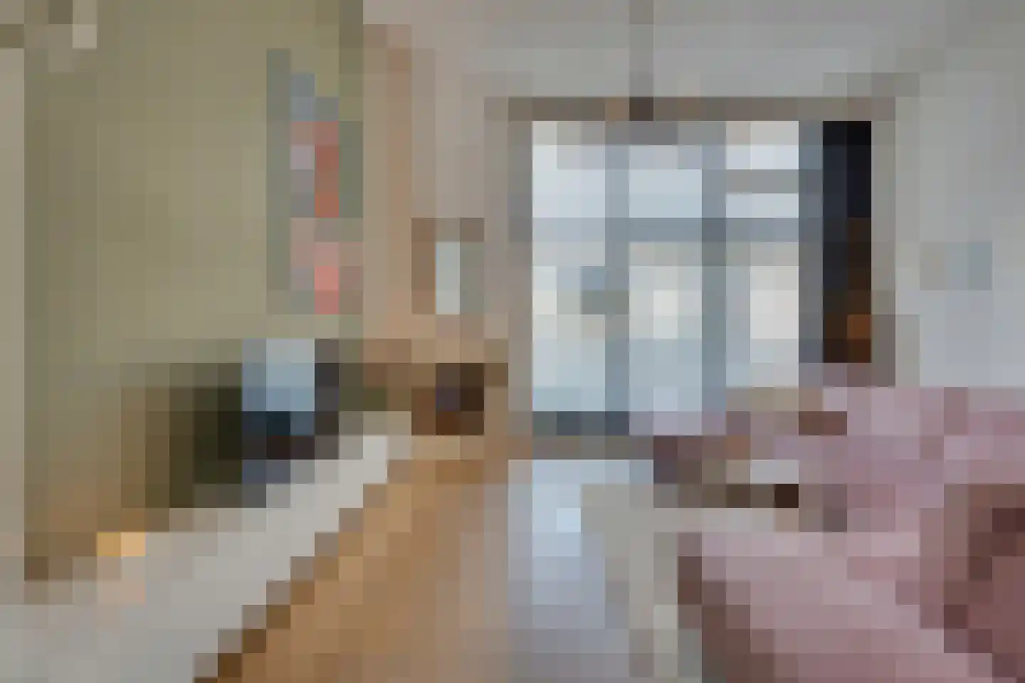 Frambozestraat 35 Goes thumbnail 4