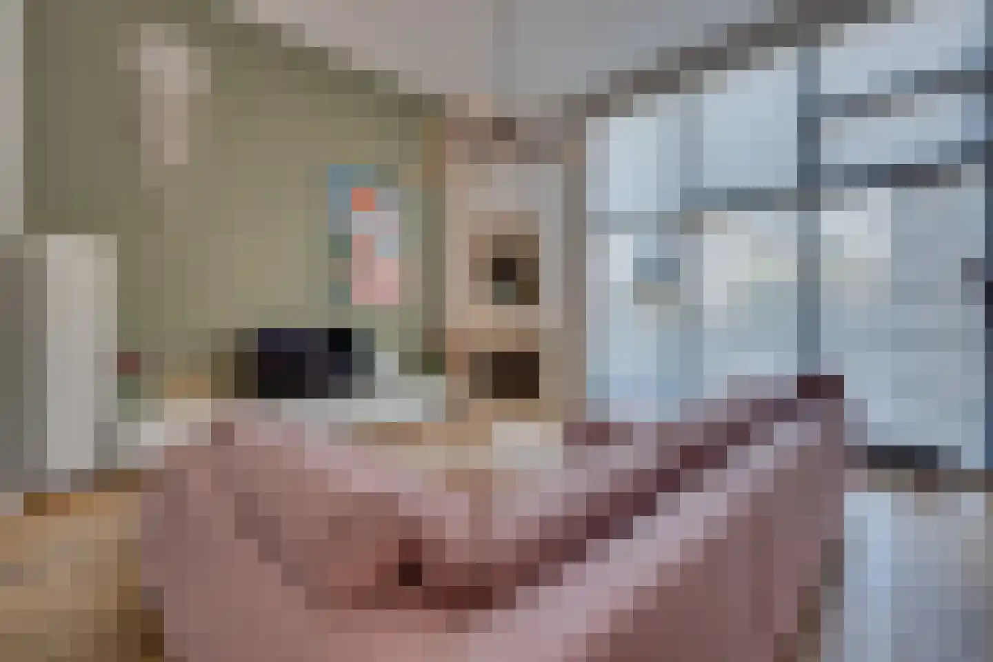 Frambozestraat 35 Goes thumbnail 6