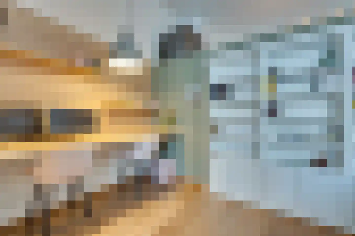 Frambozestraat 35 Goes thumbnail 7