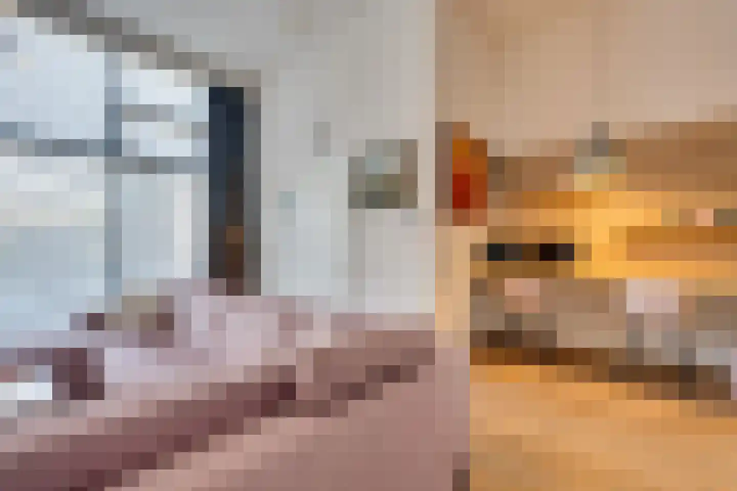 Frambozestraat 35 Goes thumbnail 9